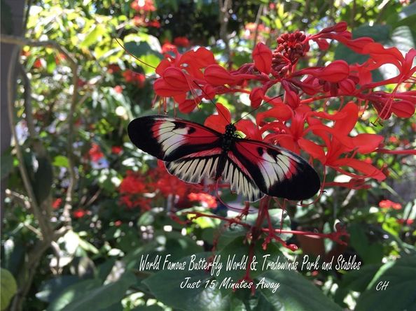 3980 Oaks Clubhouse Dr 505, Pompano Beach FL 33069