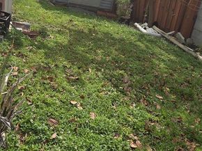 12516 SW 9th Terrace 2, Miami FL 33184