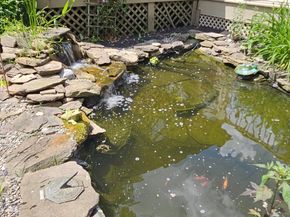 714 Gulph, Wayne PA 19087