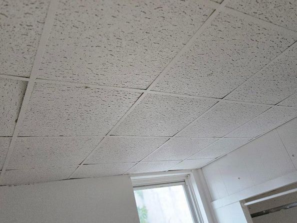 1501 Womrath Street, Philadelphia PA 19124