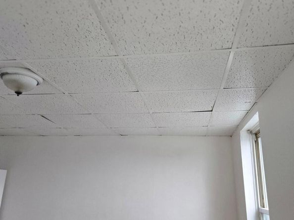 1501 Womrath Street, Philadelphia PA 19124