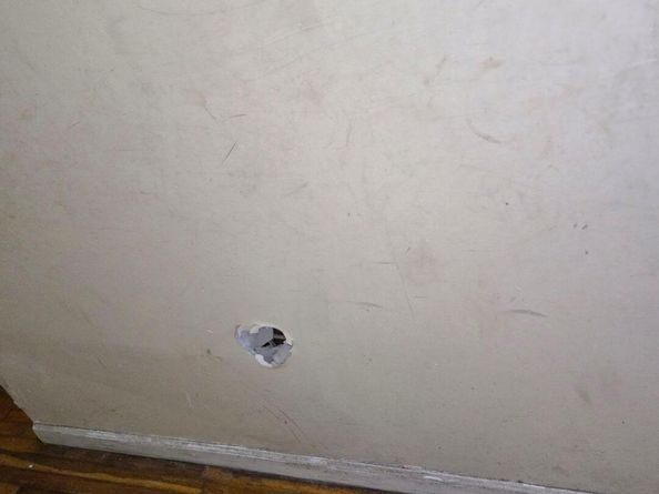 1501 Womrath Street, Philadelphia PA 19124