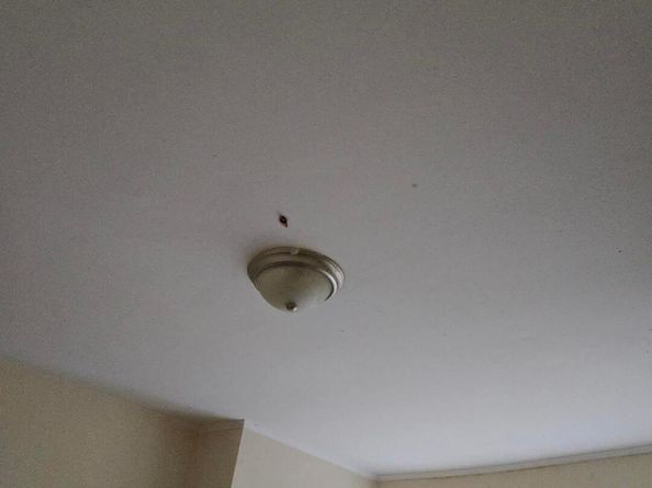 1501 Womrath Street, Philadelphia PA 19124