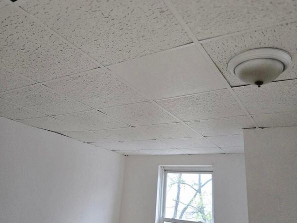 1501 Womrath Street, Philadelphia PA 19124