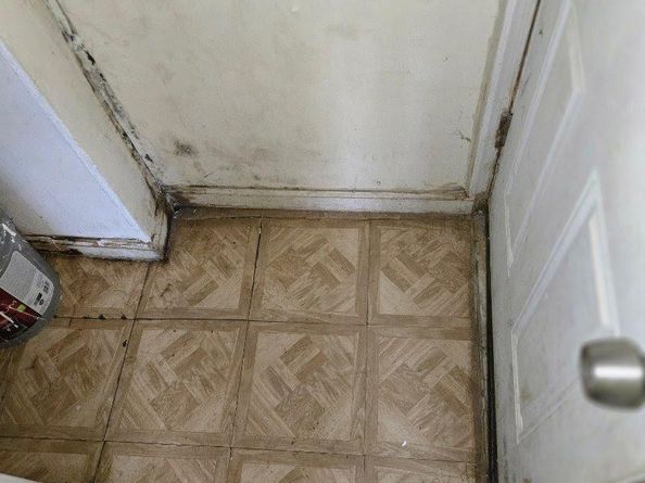 1501 Womrath Street, Philadelphia PA 19124