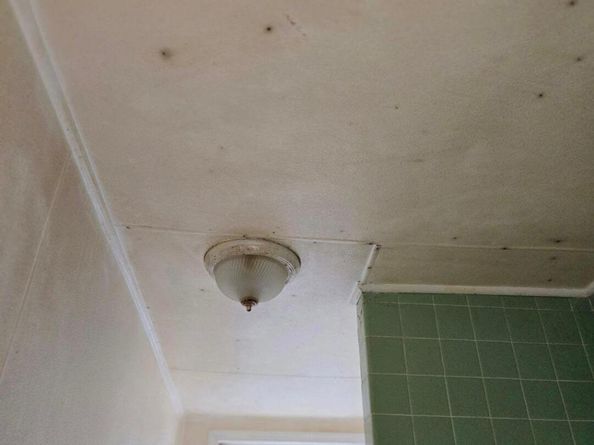 1501 Womrath Street, Philadelphia PA 19124