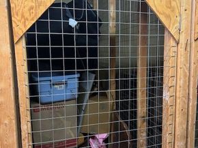 2121 Jamieson Avenue 609, Alexandria VA 22314