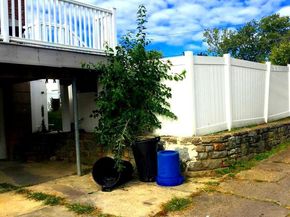 900 Maple Avenue, Glenolden PA 19036