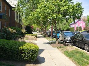 422 Butternut Street NW T3, Washington DC 20012