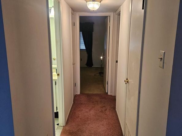 820 Putnam Boulevard 49B, Wallingford PA 19086