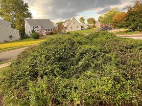 810 Quince Lane, Secane PA 19018
