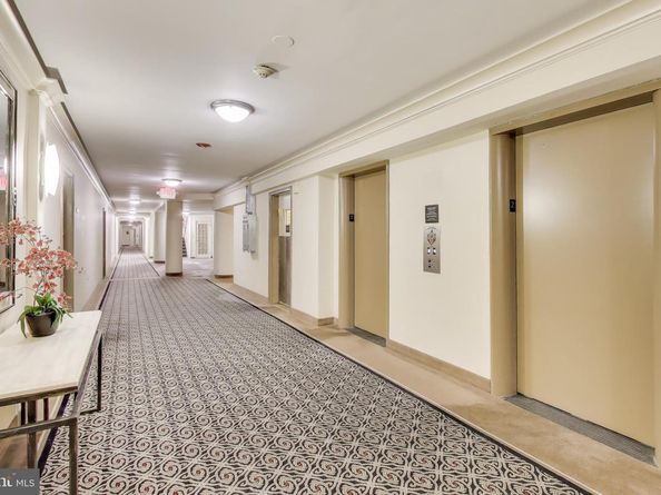 2500 Q Street NW 113, Washington DC 20007