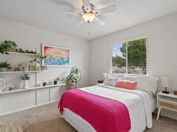 1308 Honeysuckle LN, Pflugerville TX 78660