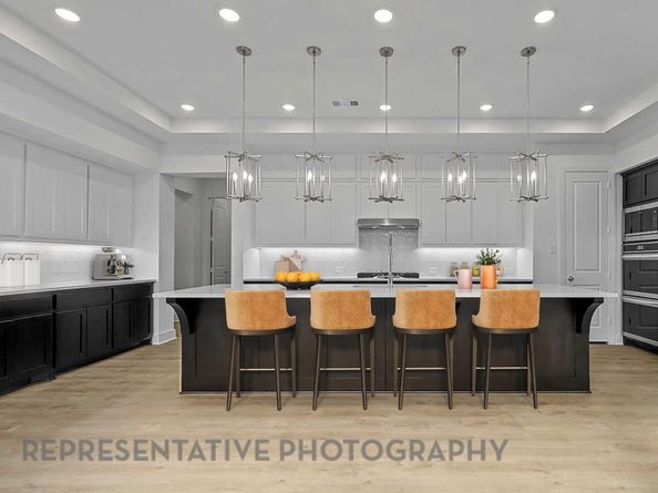 1412 White Daisy LN, Georgetown TX 78628