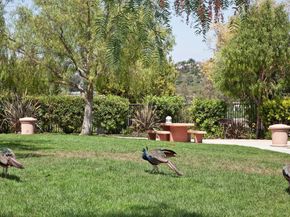 6126 Paseo Monona, Carlsbad CA 92009