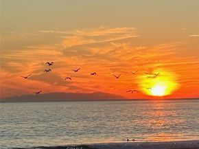 1200 Pacific Coast 426, Huntington Beach CA 92648
