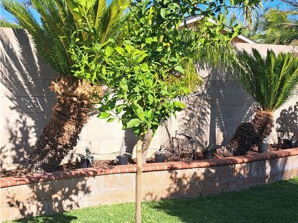 1605 S Birch Street, Santa Ana CA 92707