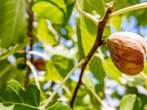 9432 Hito Court, San Diego CA 92129