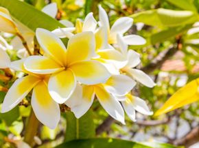 9432 Hito Court, San Diego CA 92129