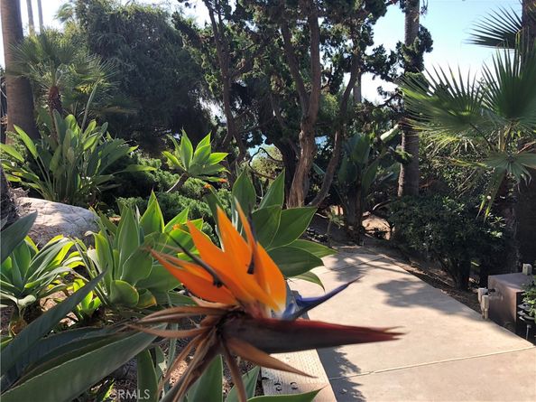31423 Coast Highway S 12, Laguna Beach CA 92651