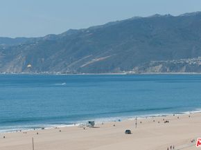 621 California Avenue 2, Santa Monica CA 90403