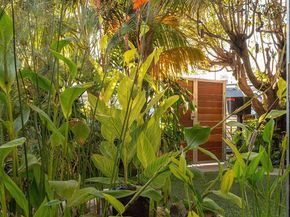 2336 Boone Avenue, Venice CA 90291