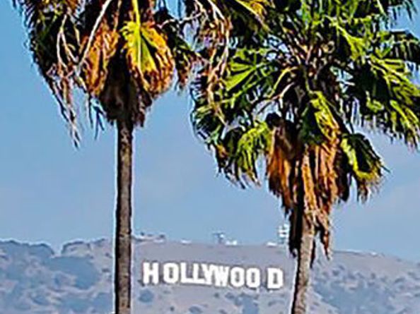 903 N Vista Street, Los Angeles CA 90046