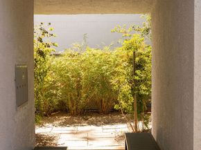 558 Rose Avenue, Venice CA 90291