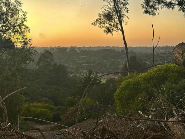 5499 Avenida Maravillas, Rancho Santa Fe CA 92067