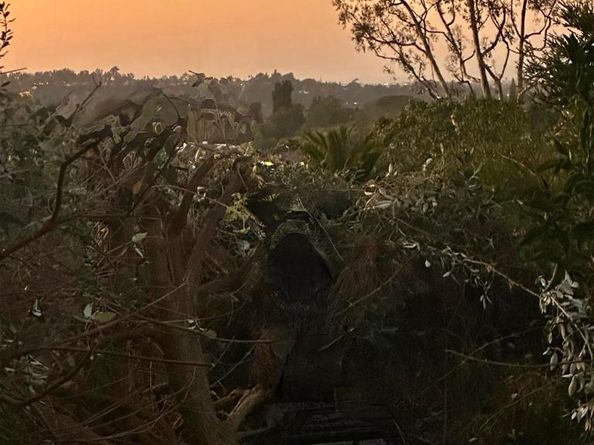 5499 Avenida Maravillas, Rancho Santa Fe CA 92067