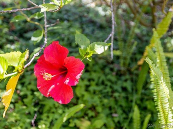 6340 Caminito Del Pastel, San Diego CA 92111