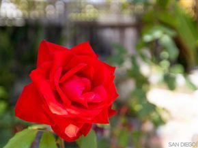 6340 Caminito Del Pastel, San Diego CA 92111