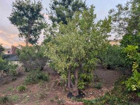 8774 Tommy Drive, San Diego CA 92119