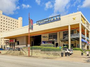 1117 Arthur Street, Houston TX 77019