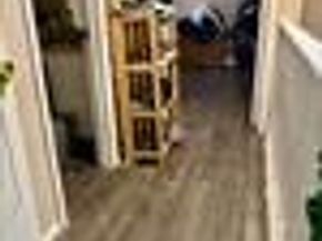 6200 W Tidwell Road 1804, Houston TX 77092