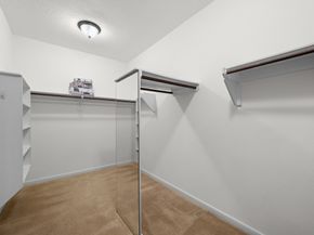 27234 Cypress Springs Lane, Cypress TX 77433