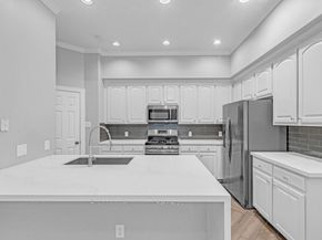 13527 Brookbluff Lane, Houston TX 77077