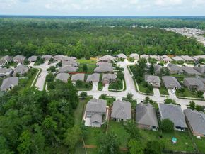 23458 Banks Mill Drive, New Caney TX 77357