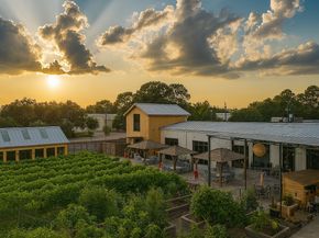 10155 Hanka Drive, Houston TX 77043