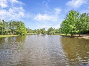 241 W Tupelo Green Circle, Spring TX 77389