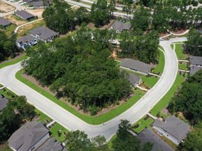 15722 Koi Gardens Lane, Conroe TX 77302