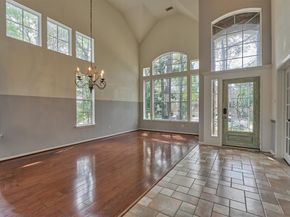 30 Fortuneberry Place, The Woodlands TX 77382
