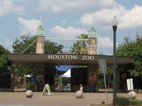 1905 Oakdale Street, Houston TX 77004