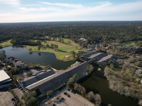 4 N Autumnwood Way, The Woodlands TX 77380