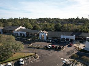 4 N Autumnwood Way, The Woodlands TX 77380