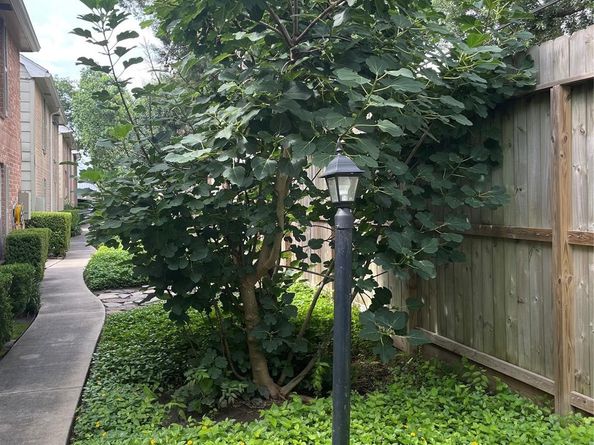 2800 Jeanetta Street 2803, Houston TX 77063