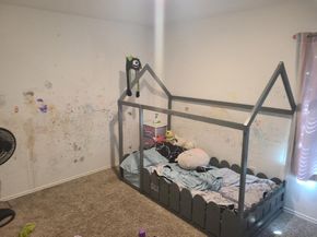 2331 Sandcherry Lane, Spring TX 77373