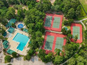 13 Whistlers Court, The Woodlands TX 77380
