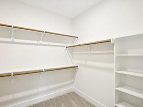 22319 Prickly Pear Drive, Tomball TX 77375