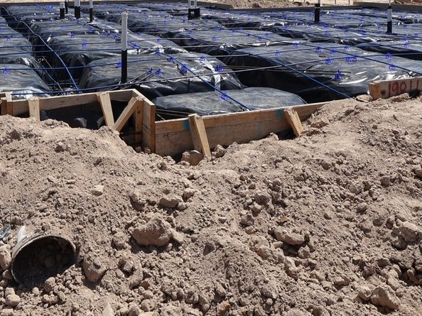 19811 May Lily Meadow Street, Cypress TX 77433